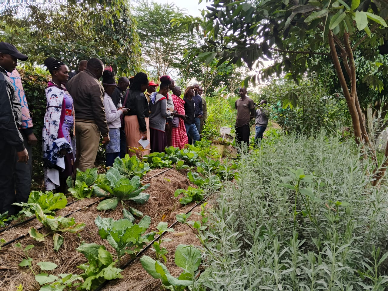 Farmer training tour walking through Tumaini Gardens organic vegetable beds
