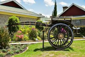 Tumaini Gardens Resort landscaped gardens in Isinya, Kajiado
